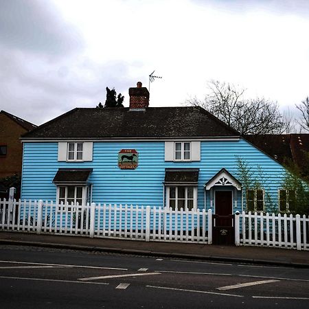 The Greyhound Cottage Chigwell Extérieur photo